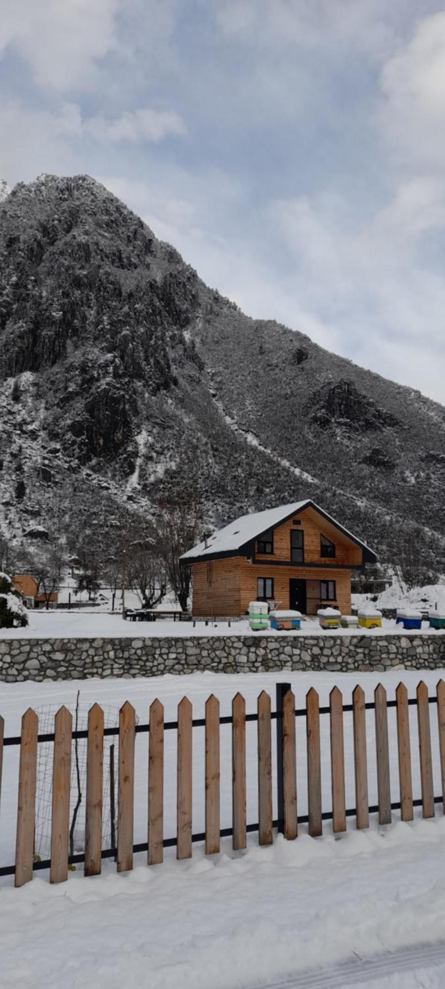 Ferma E Bleteve Stomici