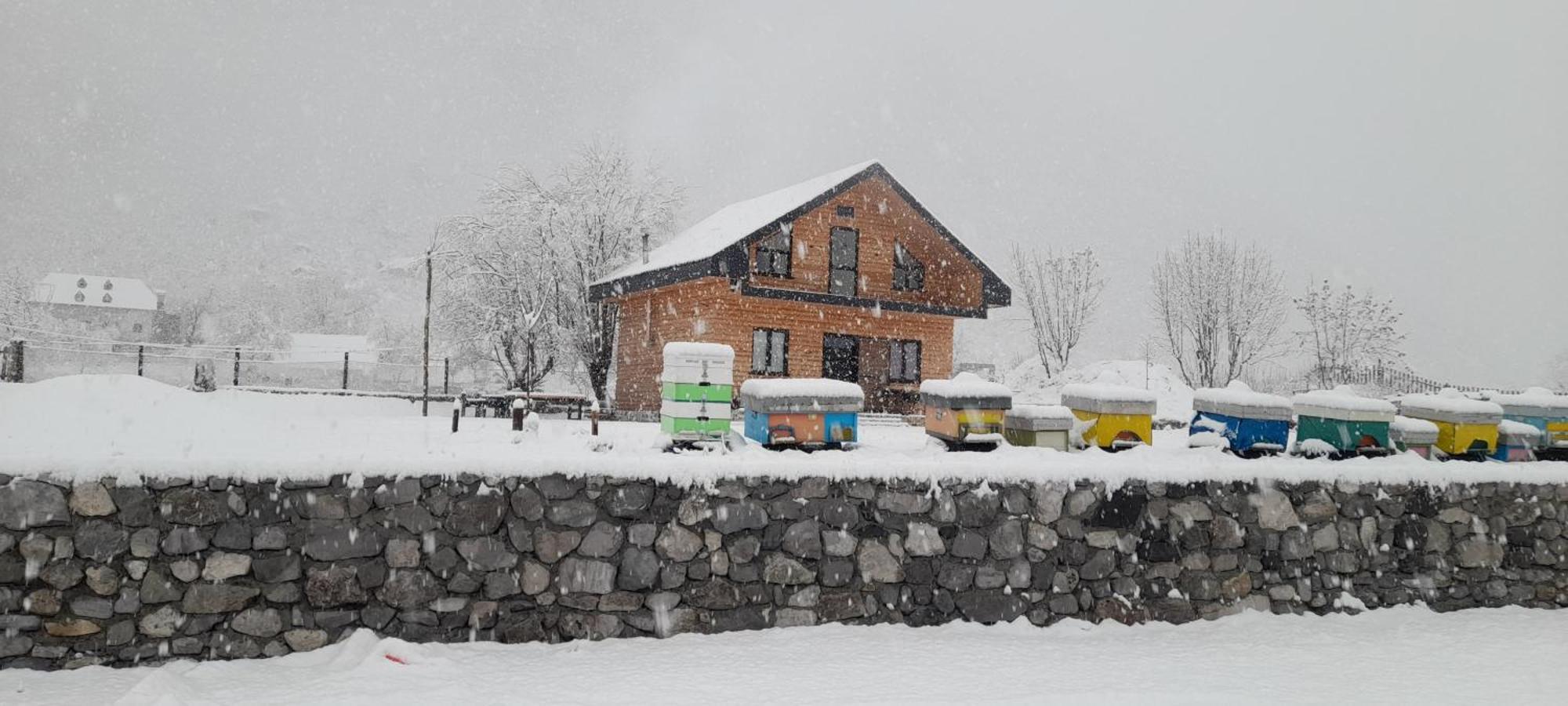 Ferma E Bleteve Stomici * Nderlysaj